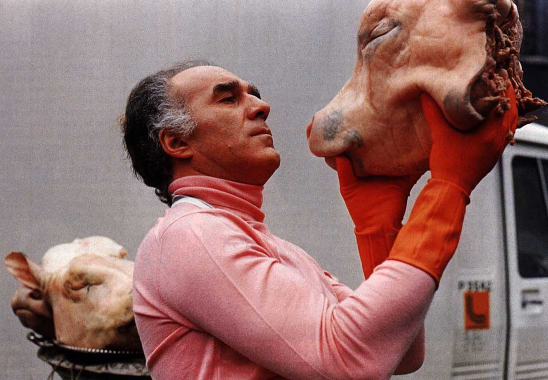 Michel Piccoli en sous pull rose qui tient et regarde une tête de cochon