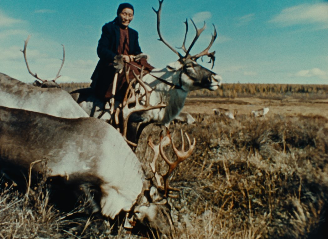 LETTER FROM SIBERIA Cit Films